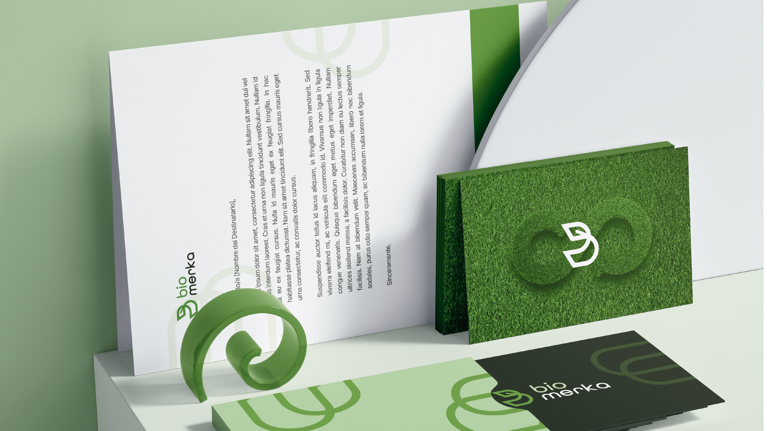 Proyecto de marca 4